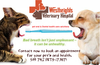 Pet Dental Care Vets Kitchener Image